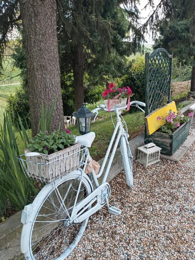 Bed and Breakfast BB Lady Castelvetro di Modena Zewnętrze zdjęcie